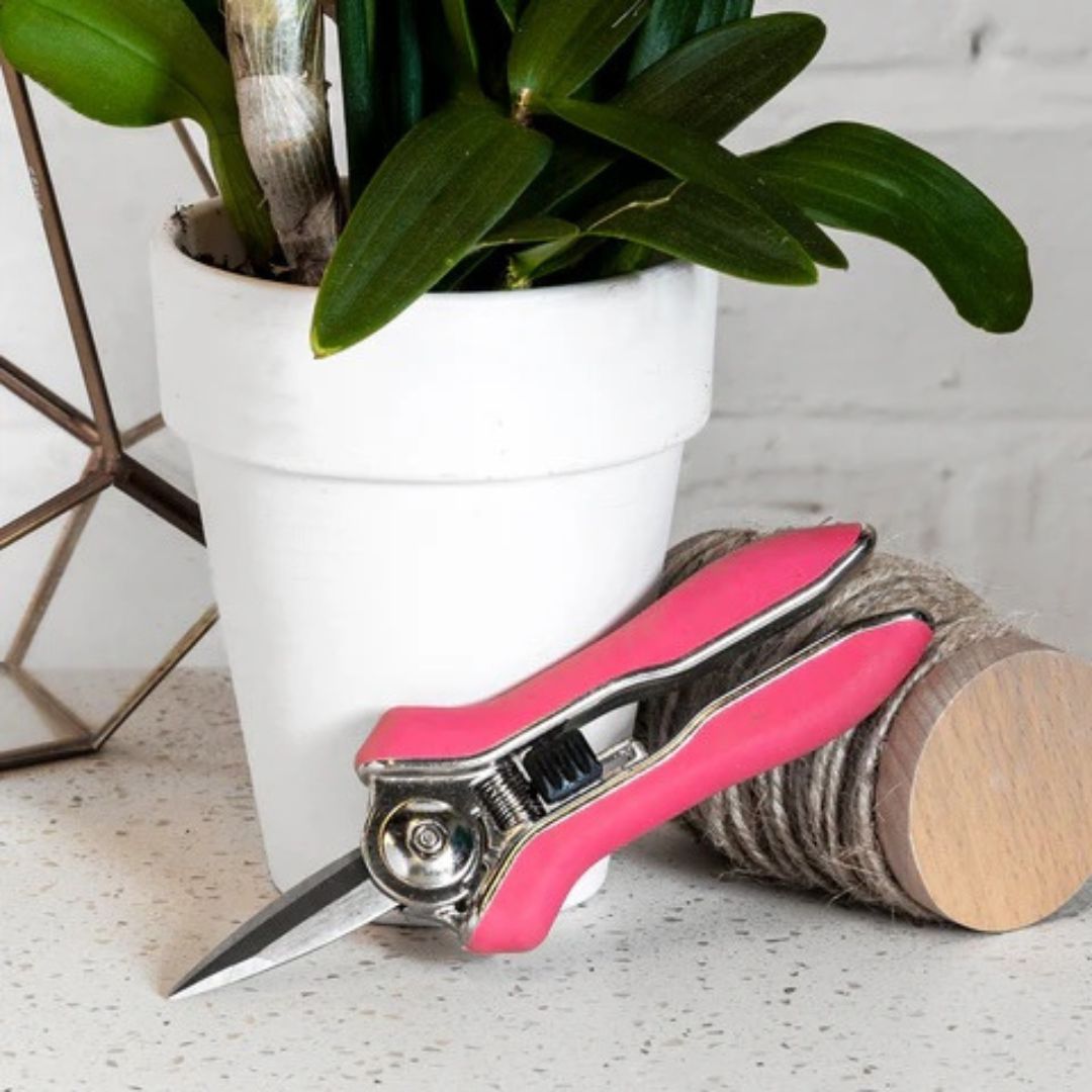 Orchid Snips – Burgon & Ball